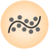 Polynomial Regression